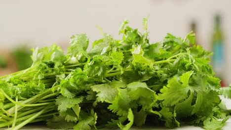 cilantro parsley cutting by knife close up, chef chop cut coriander aromatic, traditional asian and mexican cuisine herb studio shot. high quality 4k footage