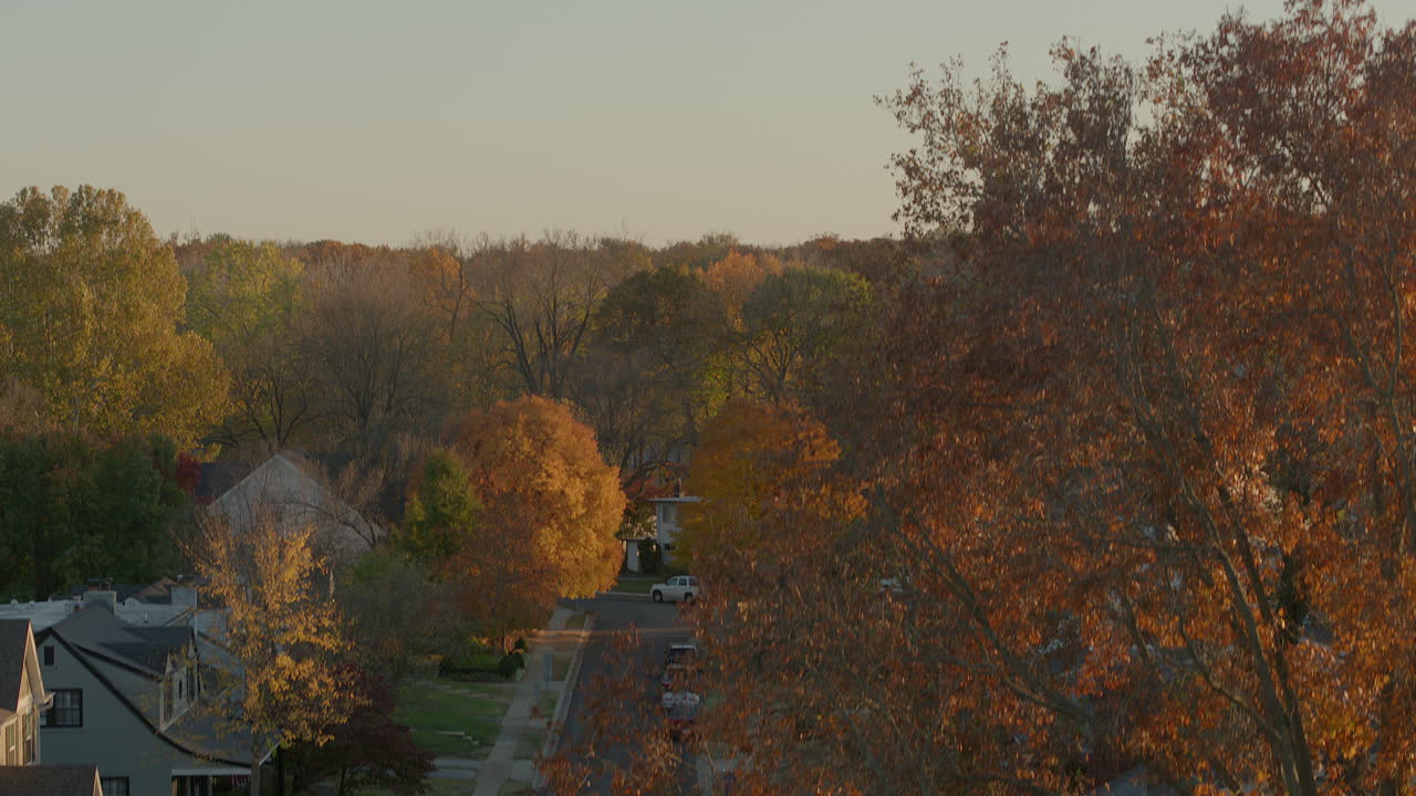 elevación aérea e inclinación sobre una calle suburbana con casas al atardecer en otoño