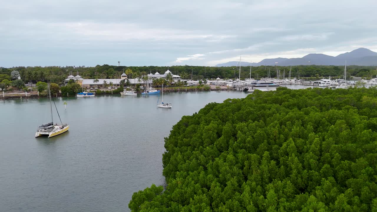 Aerial View of a Tropical Marina with Boats and Mangroves