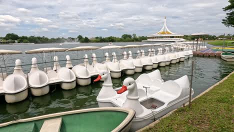 swan-shaped paddle boats docked by a lake.