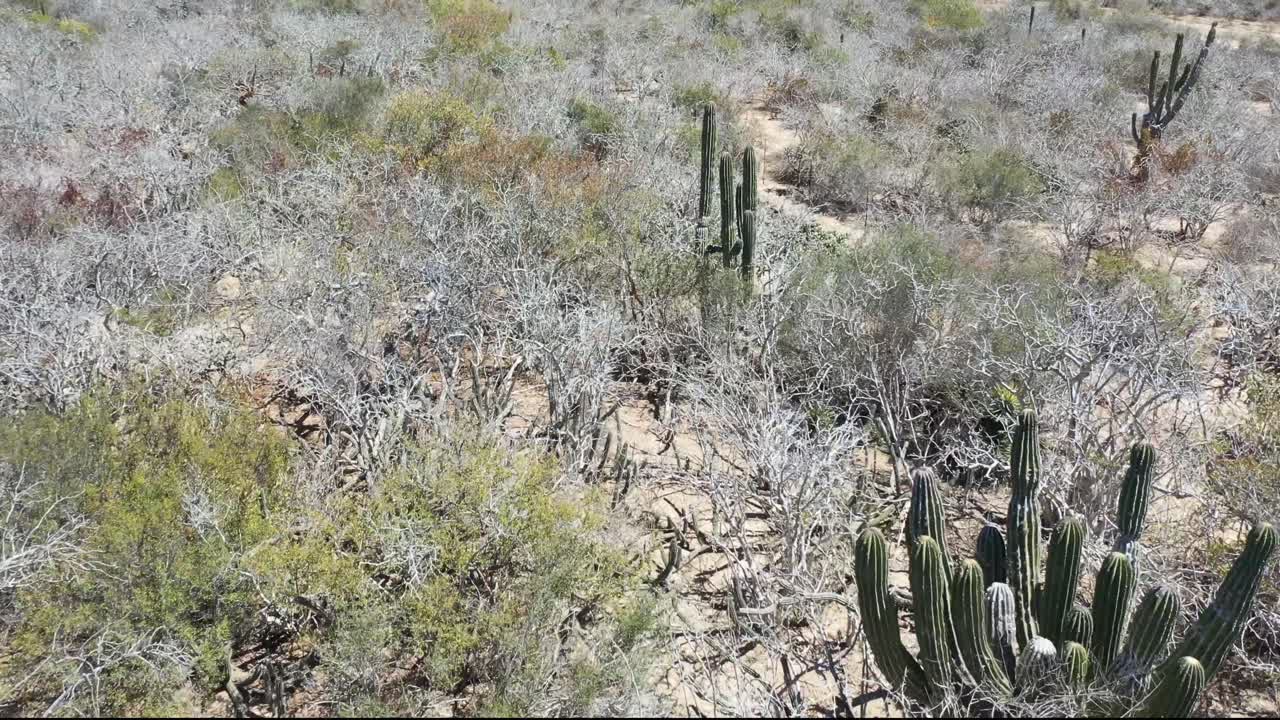 vuelo sobre playa en baja california sur