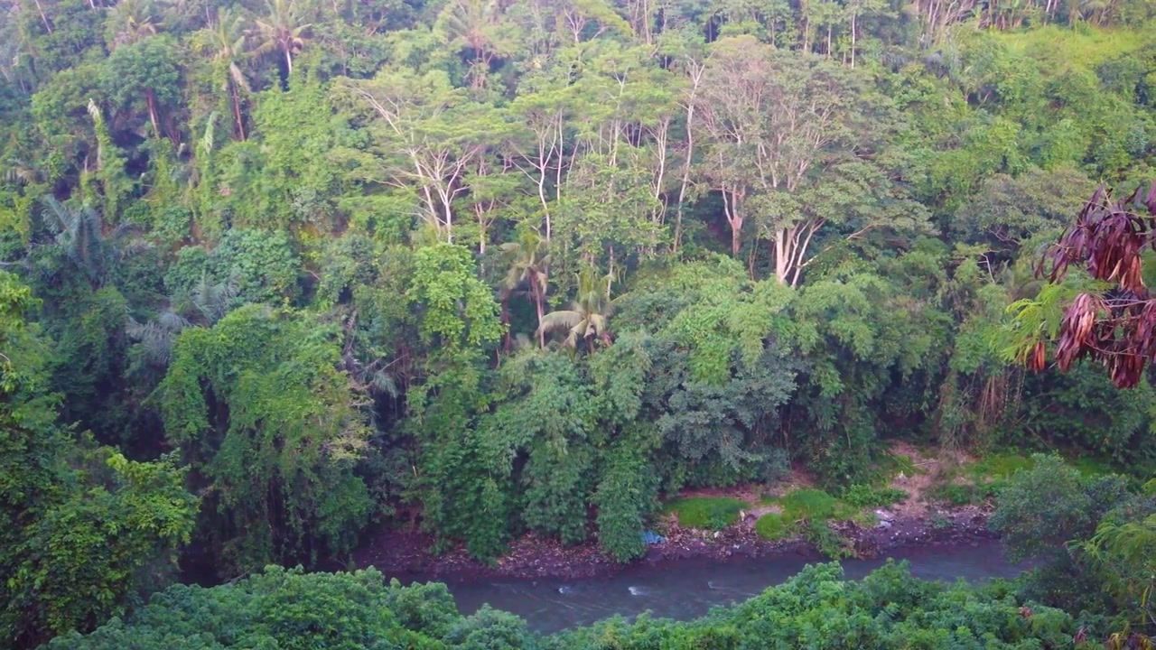 Aerial view, Balinese lush jungle tropical river with plastic garbage landscape