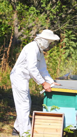 experienced apiarist on apiary. profile view of a beekeeper near wooden beehives in the forest. bee master in white protective uniform working in a bee-garden in summer. vertical video