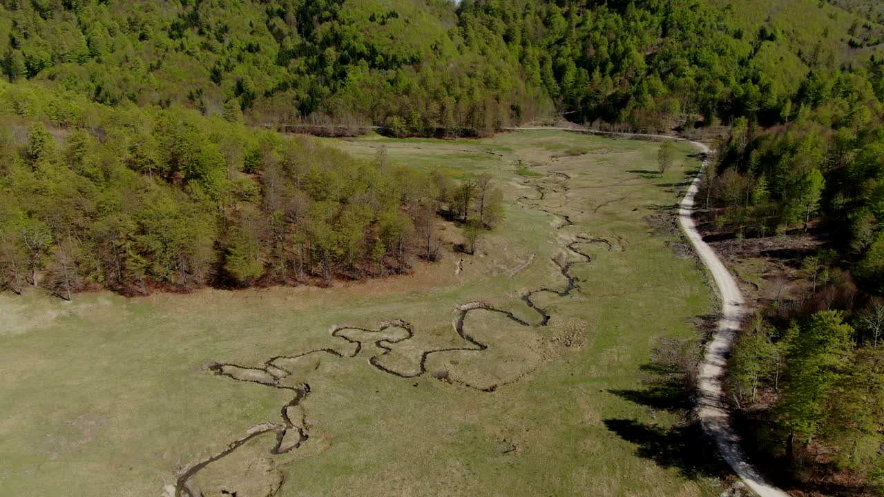 Aerial view of a green valley with a winding stream surrounded by trees A road runs alongside the valley Mountains are visible in the background