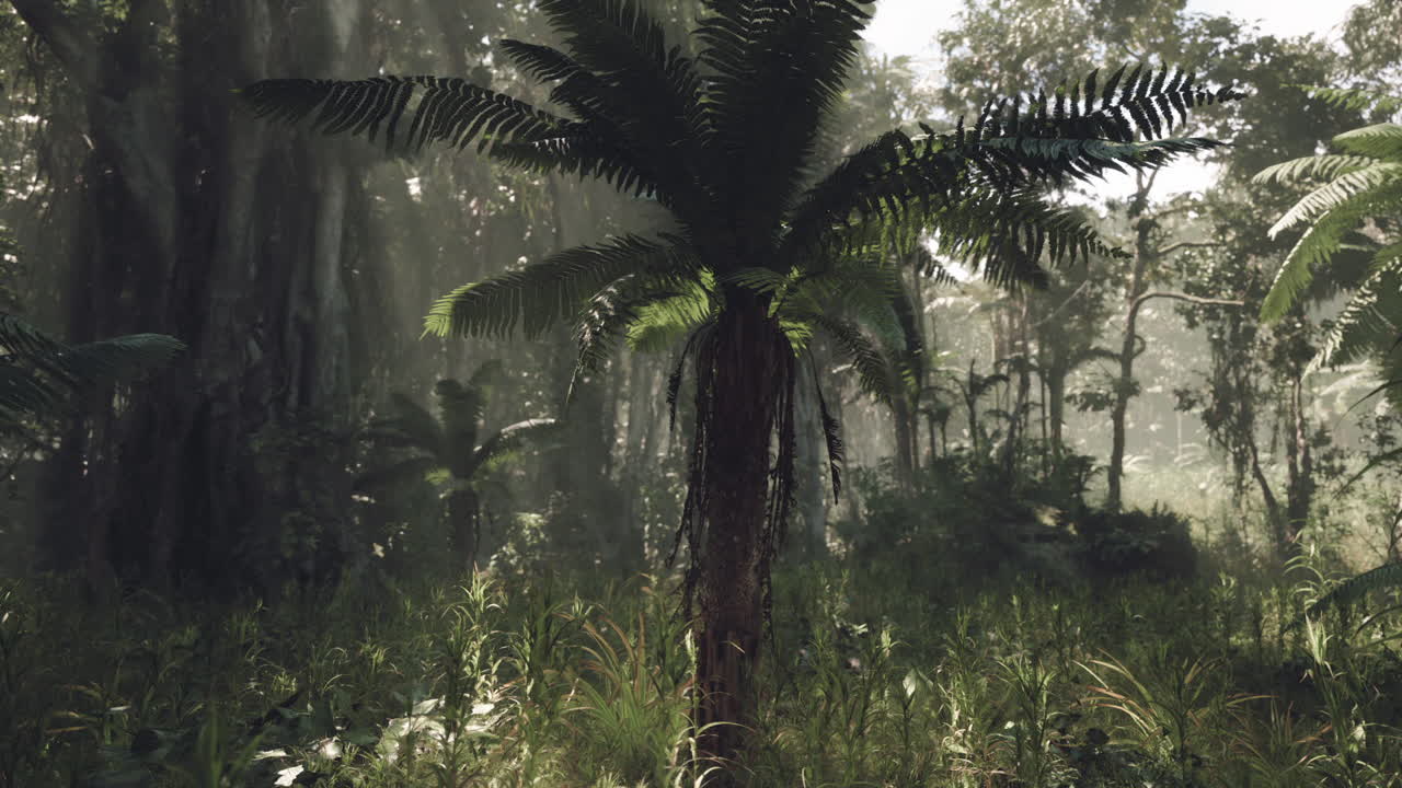 Lush jungle landscape with ferns and towering trees in southern china