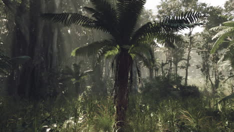 lush jungle landscape with ferns and towering trees in southern china