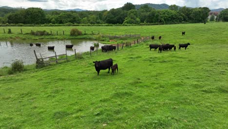 Manure-management-theme