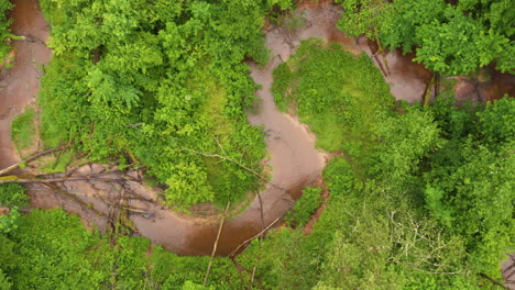 Pequeños-Meandros-De-Río-En-Un-Espeso-Bosque-Verde,-Toma-Aérea-De-Drones