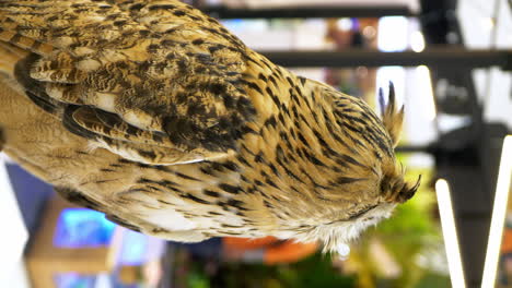 Vertical-display-of-an-owl-inside-the-lobby-of-a-popular-shopping-mall-in-Bangkok,-Thailand