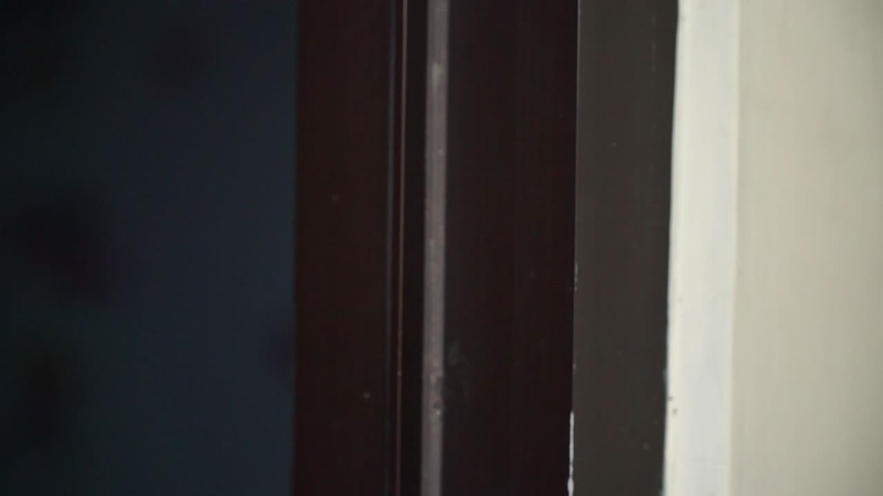 Human hand turning and pulling a shiny door handle to open a wooden door. Detailed close-up showing texture of skin and door material