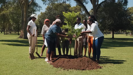 Group of people planting a tree in a park