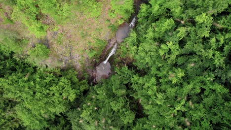 Insekten-Schwärmen-Vor-Dem-Bild-Von-Wasserfällen-In-Einem-Wald,-Insektenbefall,-Rotierend