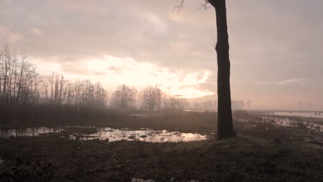 misty sunrise over a wetland