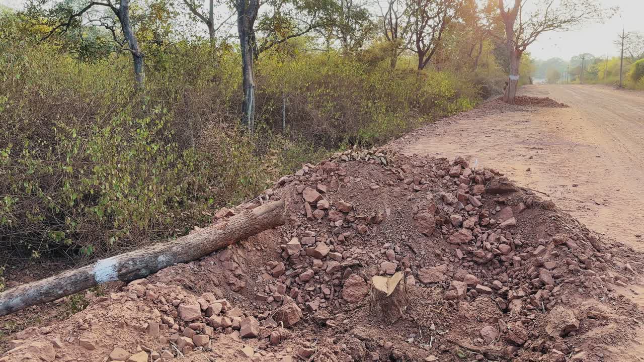 Kameran kretsar runt en nyfälld trädstubbe och en fallen trädstam som vilar på en jordhög med löst underlag och stenar intill en grusväg på landet, med omgivande vegetation och markerade träd vid vägkanten i varma naturliga färger