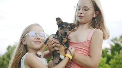 dos hermanas abrazan a un pequeño perro en el parque y juegan con mascotas y se divierten