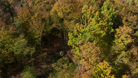 Aerial view of vibrant autumn foliage covering a mountainous landscape, showcasing a stunning array of red, orange, yellow, and green trees under a bright blue sky