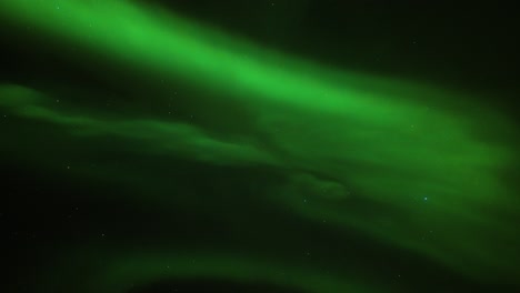 the beautiful dance of the northern lights in the night sky