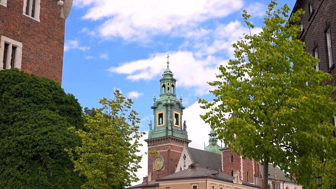 Groene zomerbomen omlijsten een koperen kerktorenspits en daken in de oude stad van Krakau onder een helderblauwe lucht