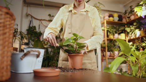 repotting a plant in a garden shop