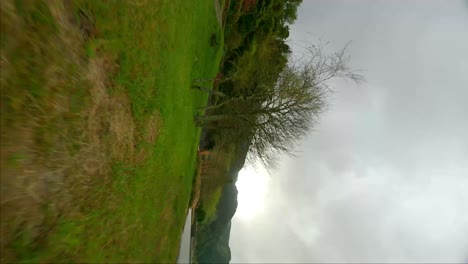 vista en fpv sobre las colinas y el parque de la ciudad en el verano con la vieja iglesia