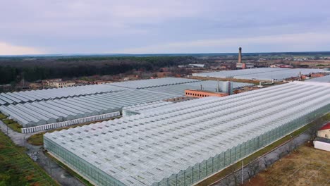 aerial view. greenhouses of large sizes. growing in greenhouses on an industrial scale