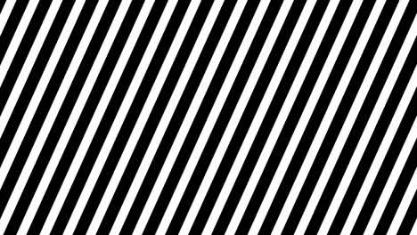 rotating zebra stripes animation, abstract background.