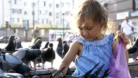 little cute girl feeding street pigeons in the park at summer day 4k slow motion