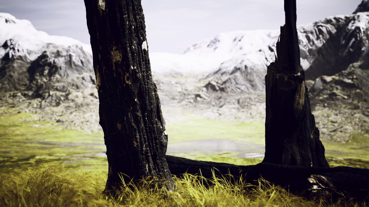 Vast mountain landscape with weathered trees and snow capped peaks in nature