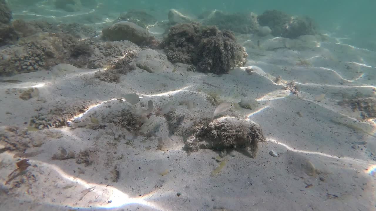 스페인, 마요르카, 칼라 산트 조르디, 이슬라 카브레라