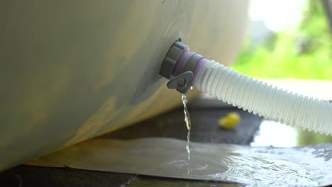 pool vacuum cleaning flexible hose on the pool