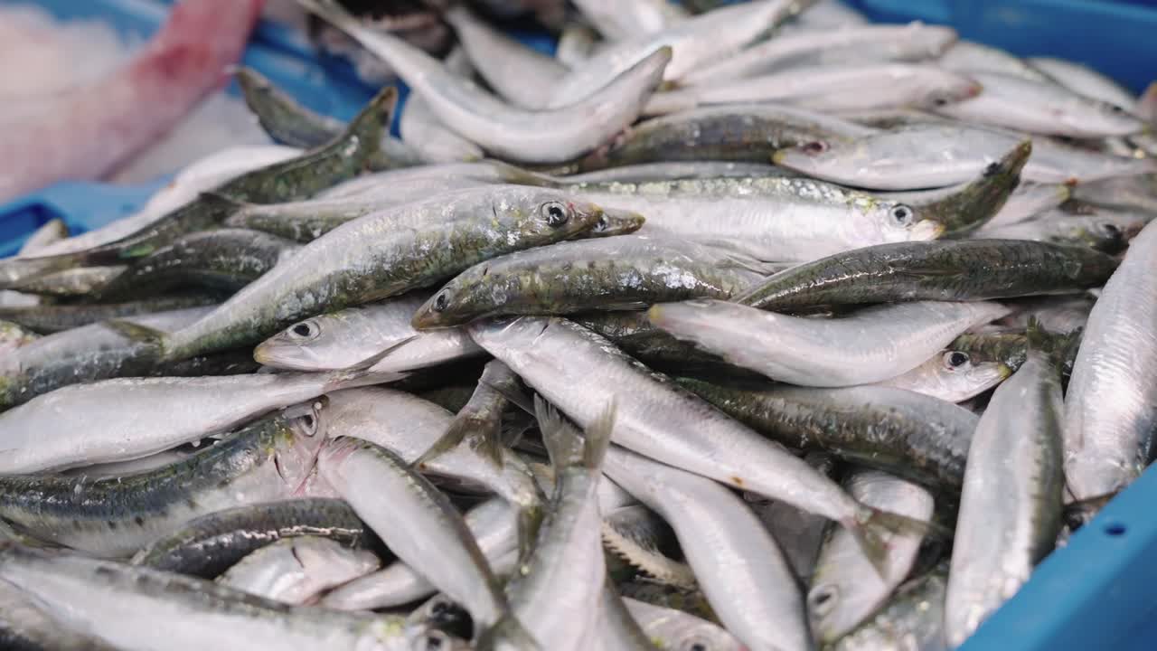 Close up of a box of fresh sardines in fishmonger's shop
