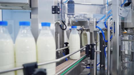 bottles for milk on automatic production line. dairy production in robotic factory. empty bottles are filling with milk on manufacturing line.