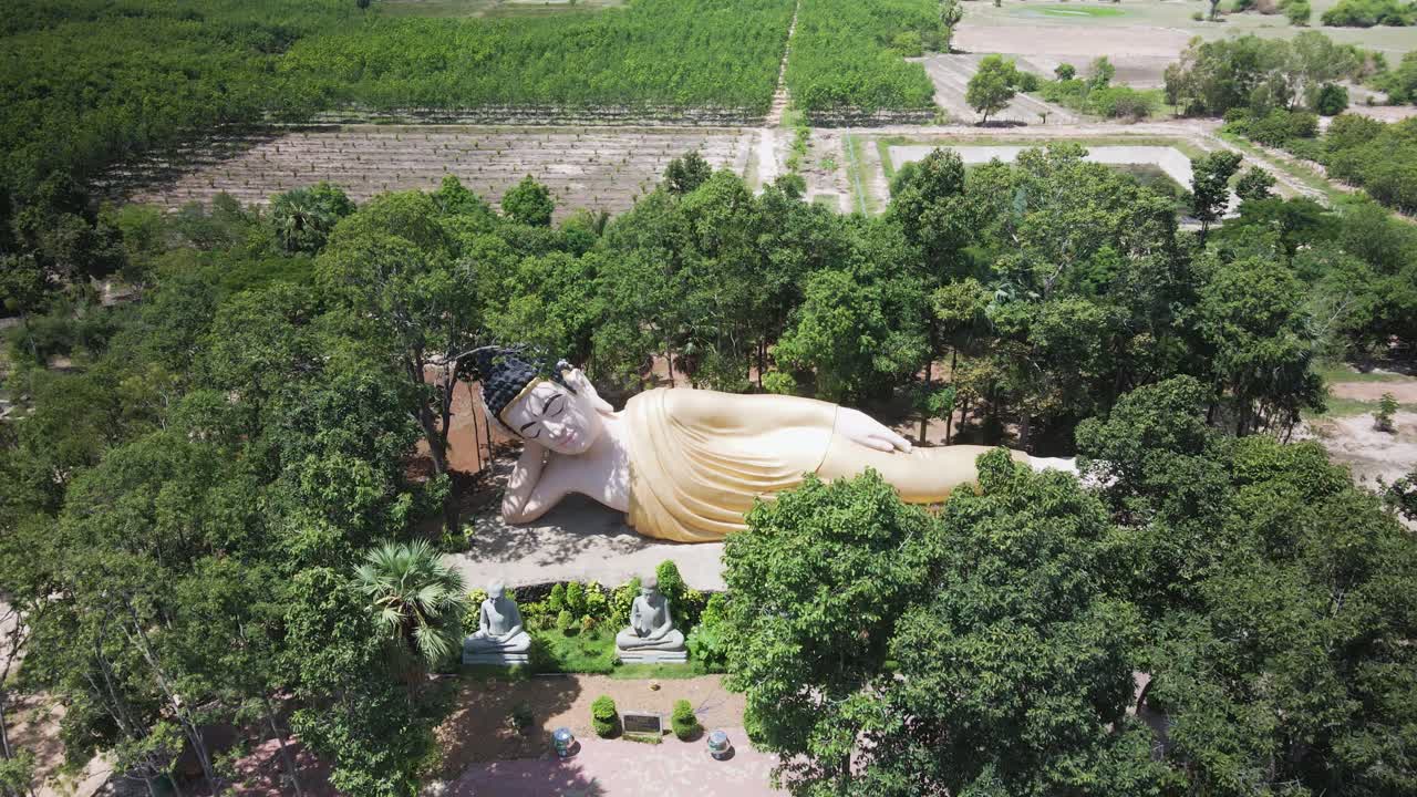 buda gigante rodeado de árboles en wat preah theat thmor da temple - kampong cham drone sobrevuelo aéreo