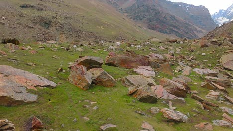 4K-Drohnenaufnahme-Mit-Blick-Nach-Vorn-Mit-Einer-Hirtenhütte-Aus-Stein,-Auf-Der-Pferde-Auf-Einem-Felsigen-Berg-Mit-üppigem-Grünem-Gras-Und-Schneebedeckten-Bergen-Grasen