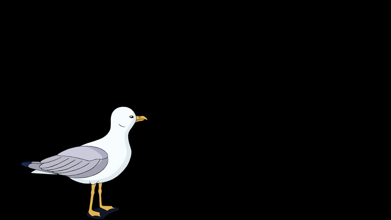 la gaviota vuela hacia el cielo 4k alfa mate