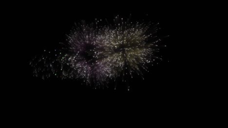 multiply explosion of fireworks, animation good for overlays