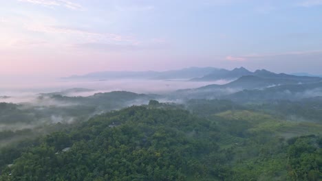 Aerial-view-of-greenery-tropical-landscape