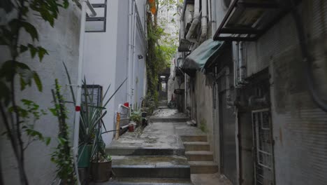 shot traveling forward in a empty little narrow street in the middle of a city during the day