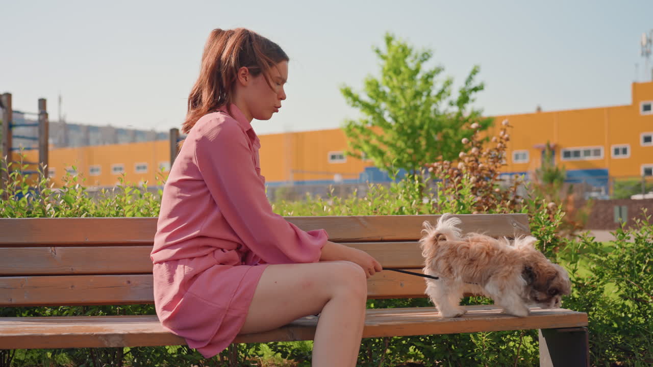 Serene Lady Resting Outside With Her Pet, Peaceful Woman Sitting Outdoors Accompanied By Her Loyal Dog, Tranquil Female Relaxing Outside With Her Faithful Canine Friend In Nature Surroundings