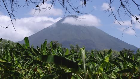 el volcán de la montaña ometepe visto desde una plantación de plátanos en nicaragua