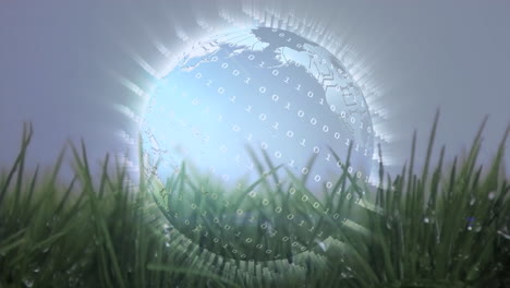 digital animation of a globe on grass