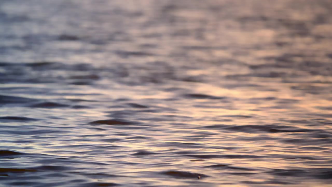 Close-up of Tranquil Water Surface with Sunset Reflections