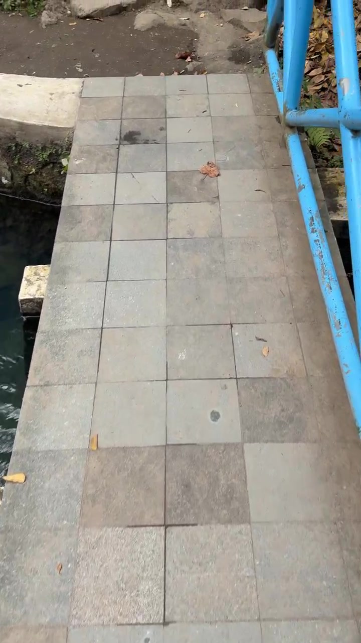 Walking Across a Tiled Bridge Over a Stream
