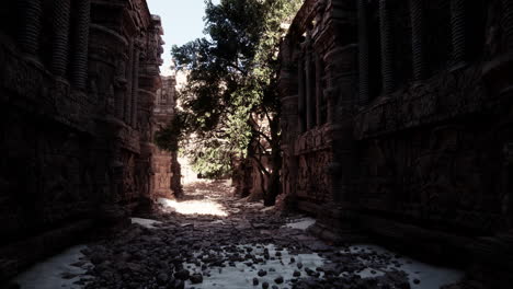 ancient ruins in the jungle