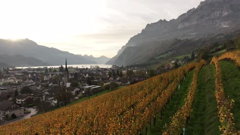 golden vineyards overlooking walenstadt with stunning autumn views of churfirsten mountains in st. gallen, switzerland.