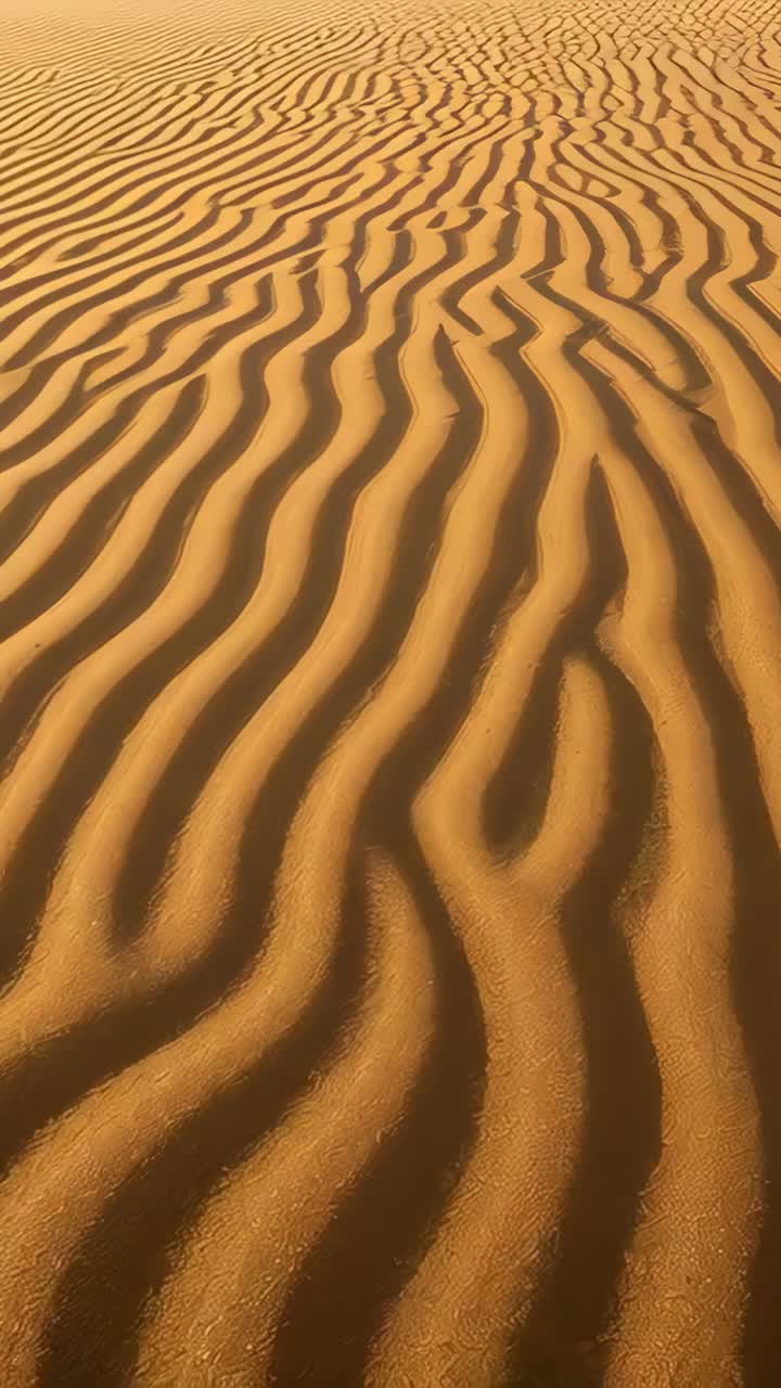Vertical video: Starting slow pan, camera revealing sand ripples at dune field, sun showing texture