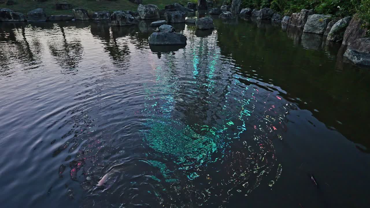 The turquoise illumination of the Kasai Rinkai Park Ferris Wheel reflected and distorted in a rippling pool of water at night
