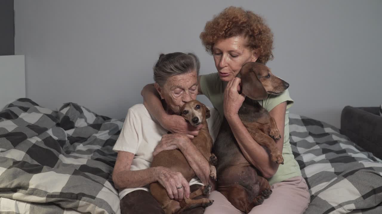 amor por los animales tema. tratamiento de enfermedades seniles a través de la comunicación con los perros. hija madura visita a la madre anciana en el hogar de ancianos durante la terapia con animales. dos mujeres viejas juegan con 2 perros en casa