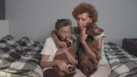 love for animals theme. treatment senile diseases through communication with dogs. mature daughter visits old mother in nursing home during therapy with animals. two old women play with 2 dog at home