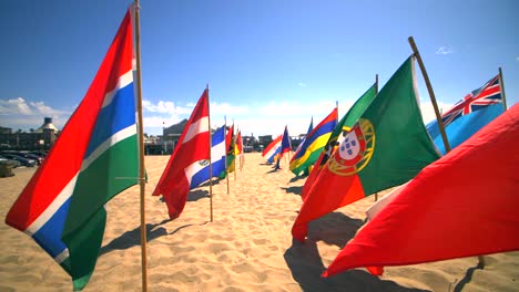 Walking-Through-National-Flags-2